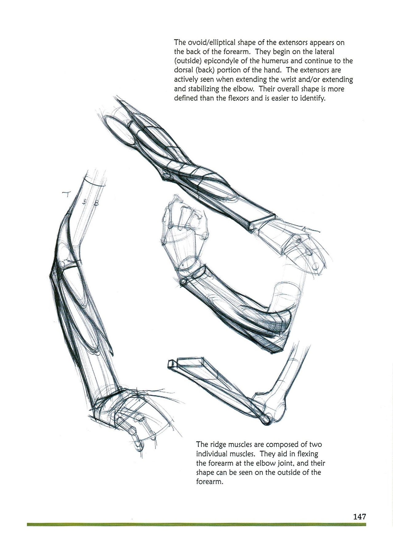 [Micheal Hampton] FIGURE DRAWING, Design and Invention (2013 Edition) 150