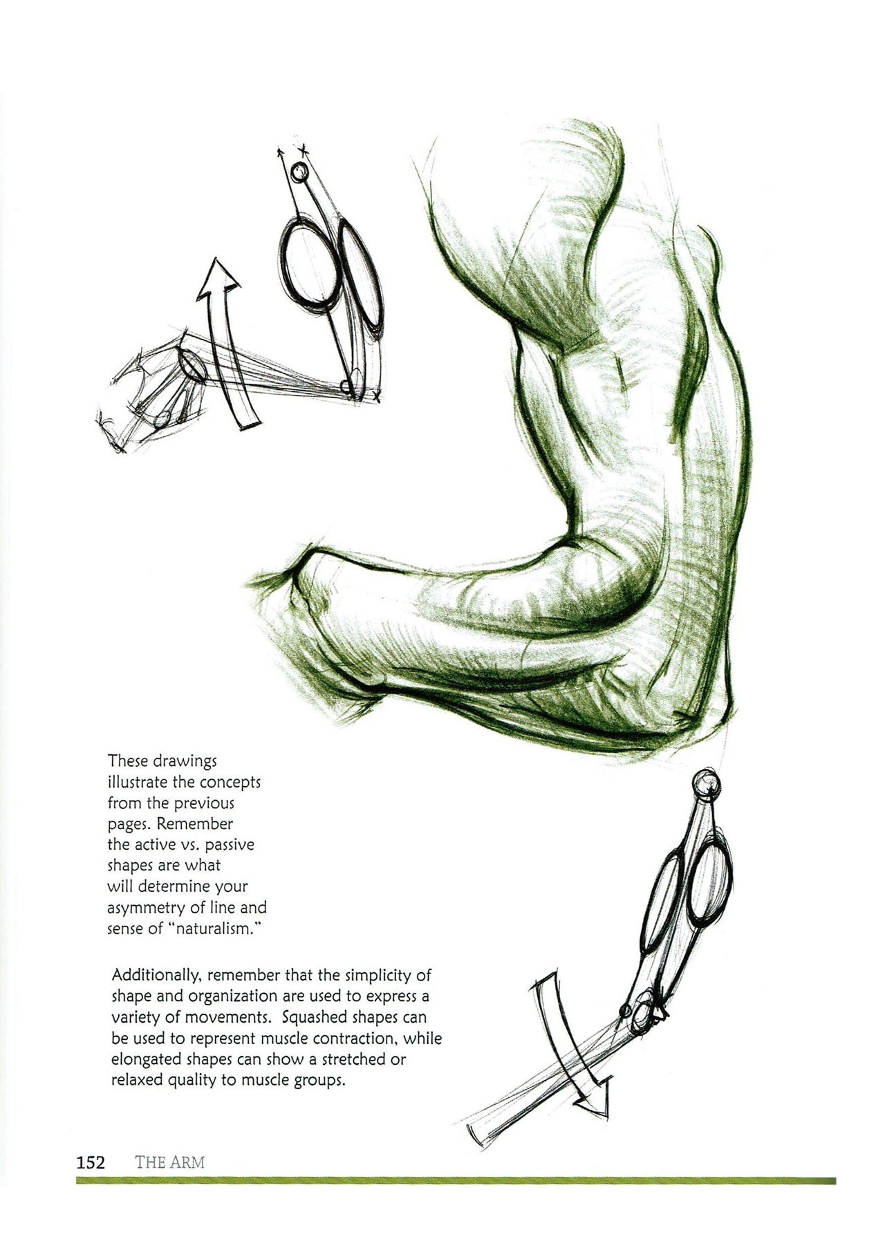 [Micheal Hampton] FIGURE DRAWING, Design and Invention (2013 Edition) 155