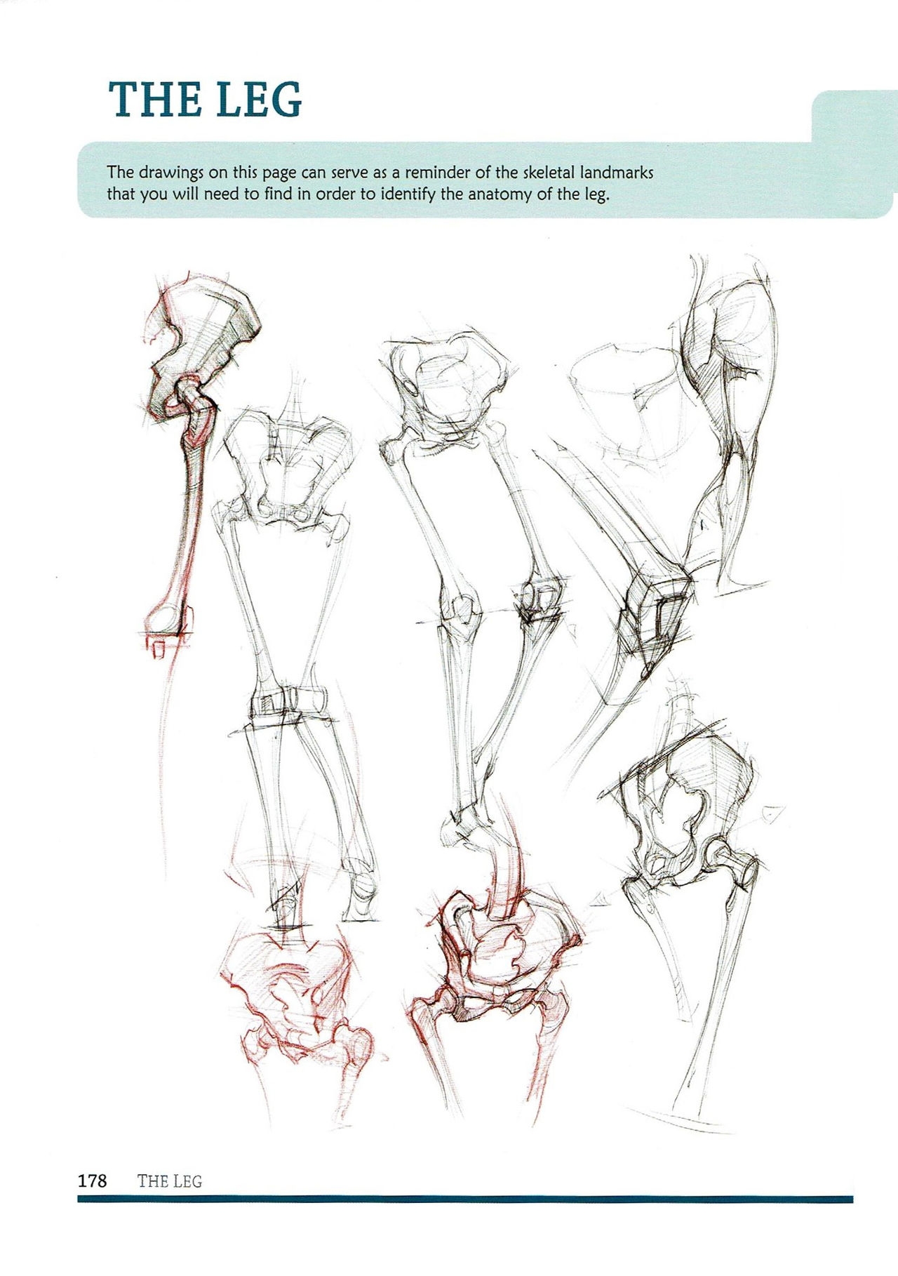[Micheal Hampton] FIGURE DRAWING, Design and Invention (2013 Edition) 181