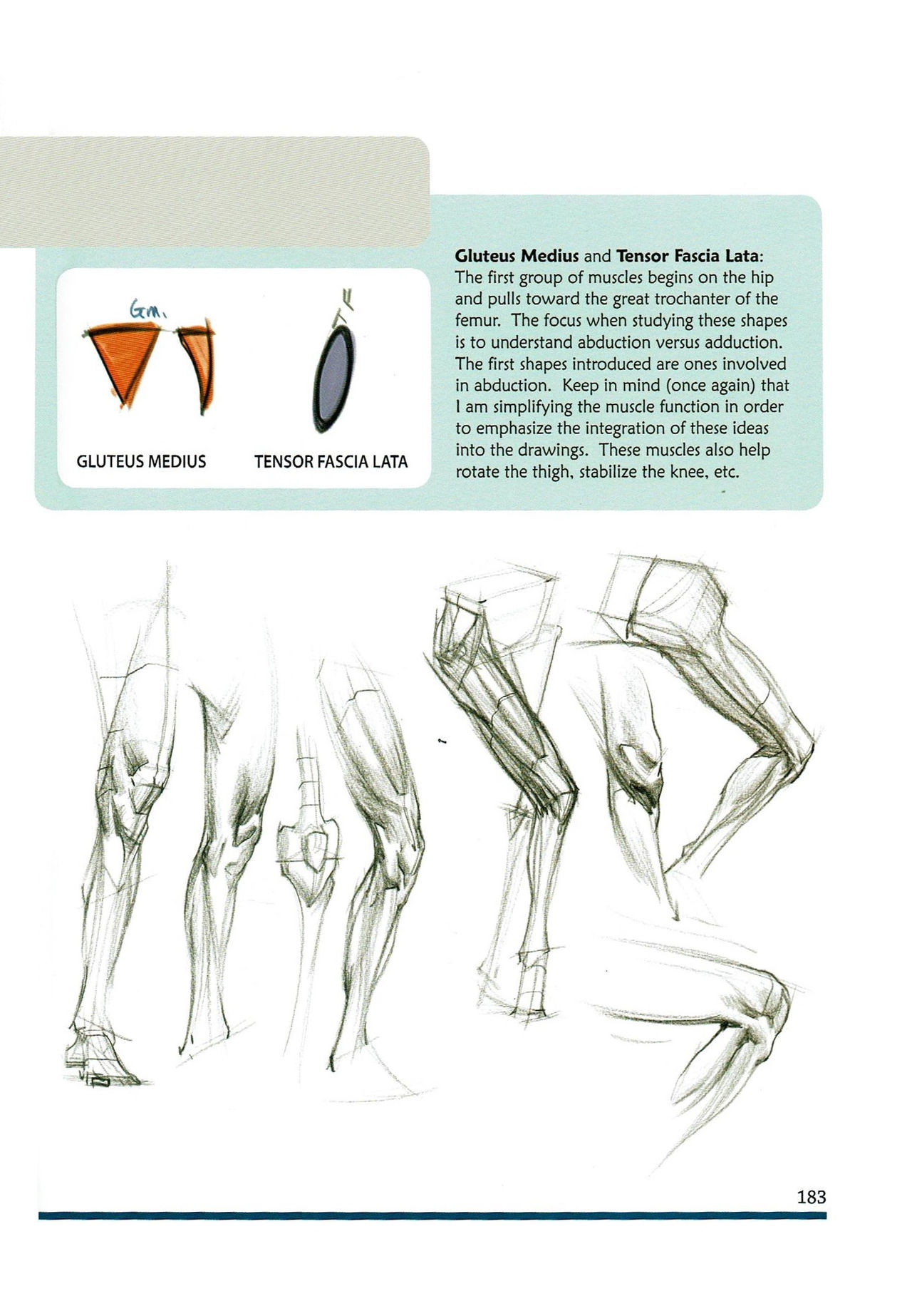 [Micheal Hampton] FIGURE DRAWING, Design and Invention (2013 Edition) 186