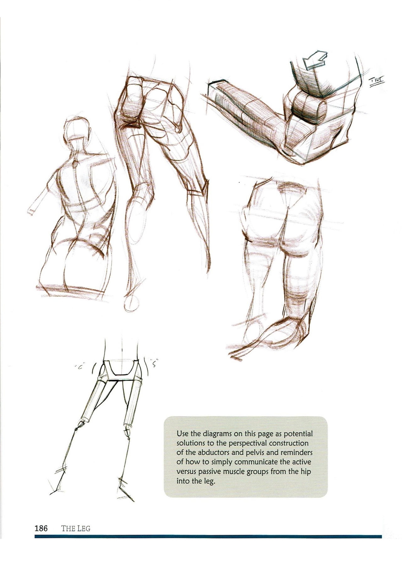 [Micheal Hampton] FIGURE DRAWING, Design and Invention (2013 Edition) 189