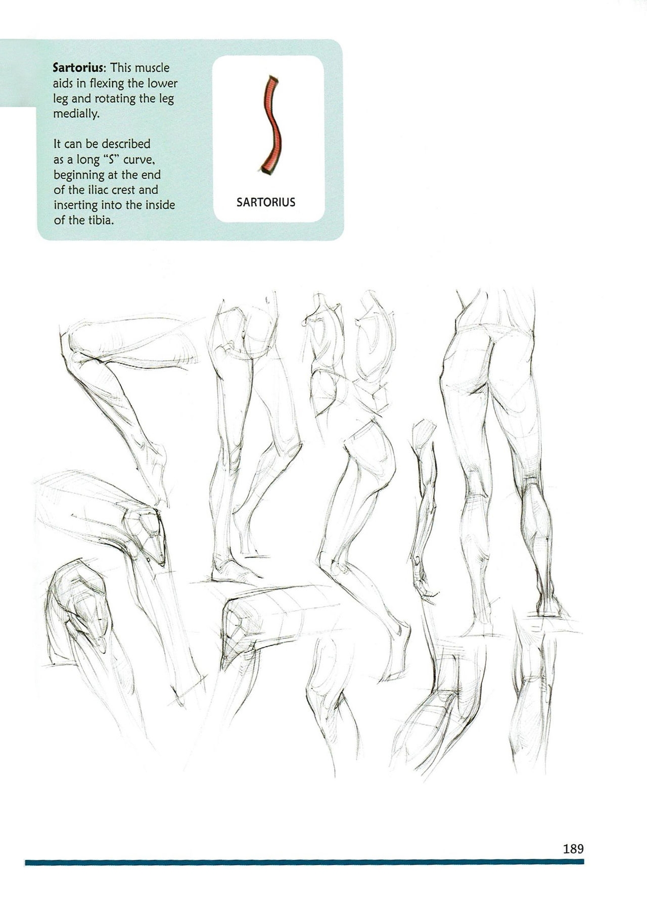 [Micheal Hampton] FIGURE DRAWING, Design and Invention (2013 Edition) 192