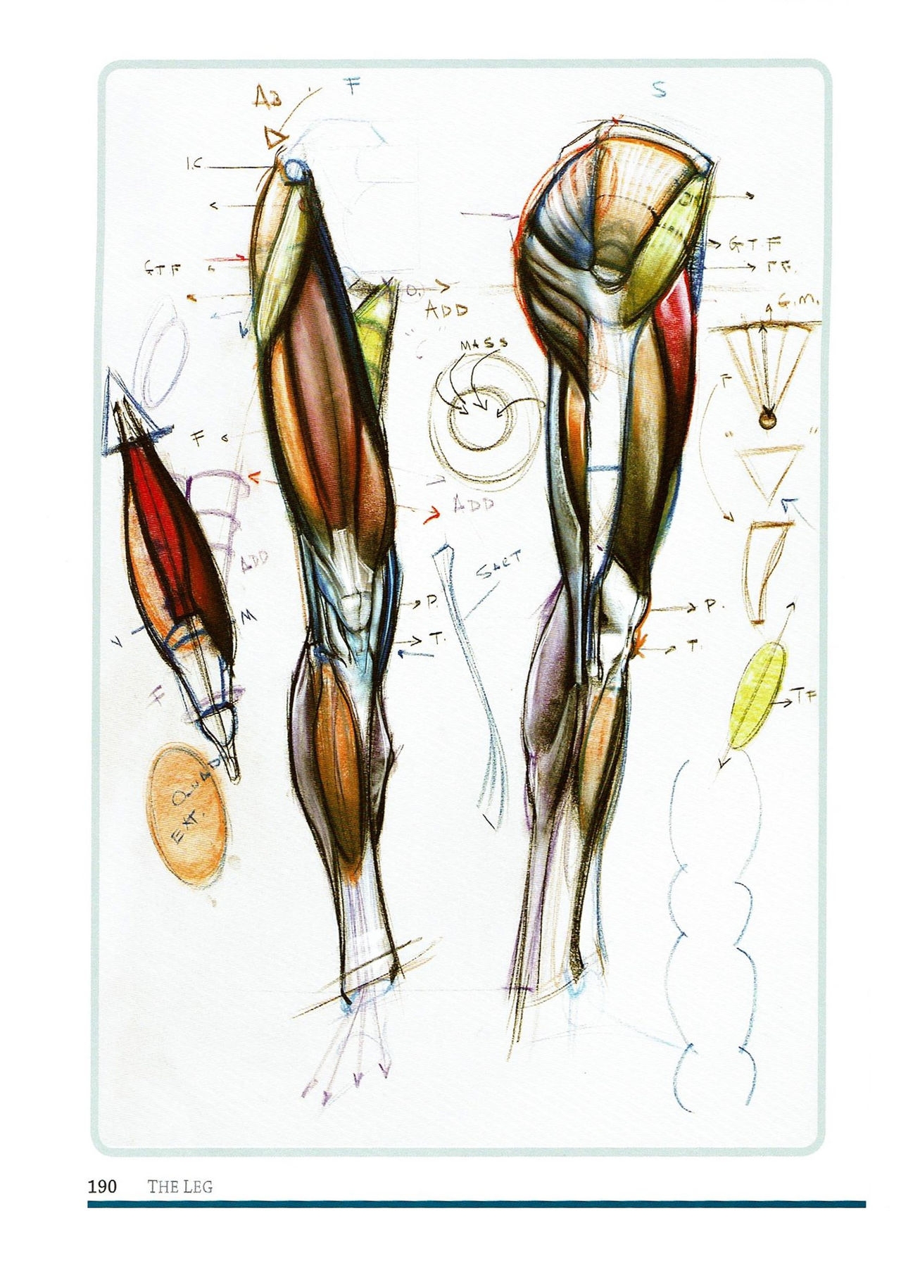 [Micheal Hampton] FIGURE DRAWING, Design and Invention (2013 Edition) 193