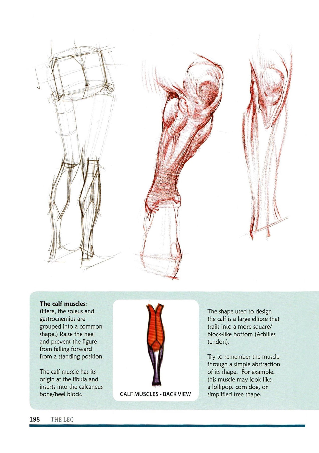 [Micheal Hampton] FIGURE DRAWING, Design and Invention (2013 Edition) 201
