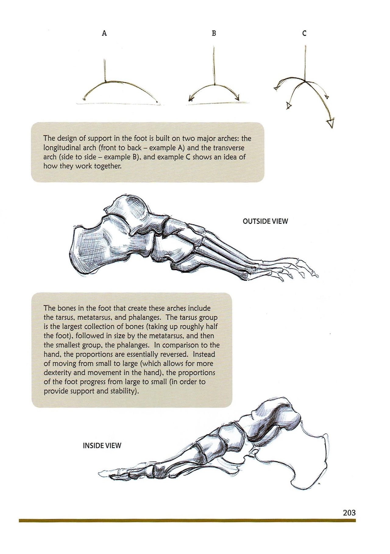 [Micheal Hampton] FIGURE DRAWING, Design and Invention (2013 Edition) 206