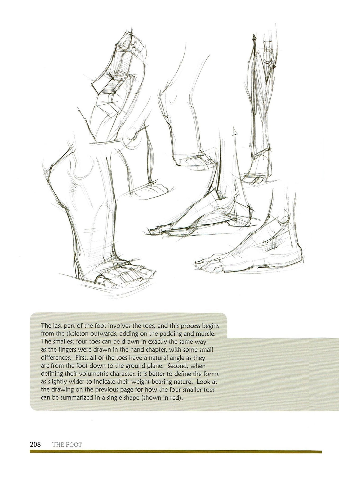 [Micheal Hampton] FIGURE DRAWING, Design and Invention (2013 Edition) 211