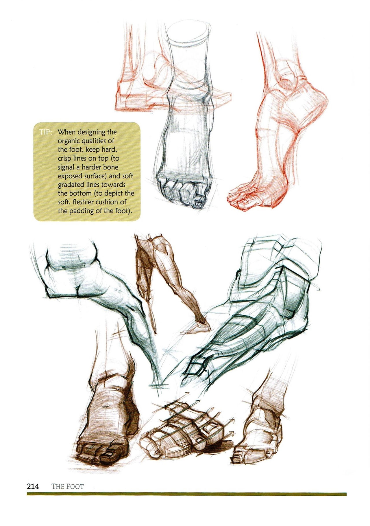 [Micheal Hampton] FIGURE DRAWING, Design and Invention (2013 Edition) 217