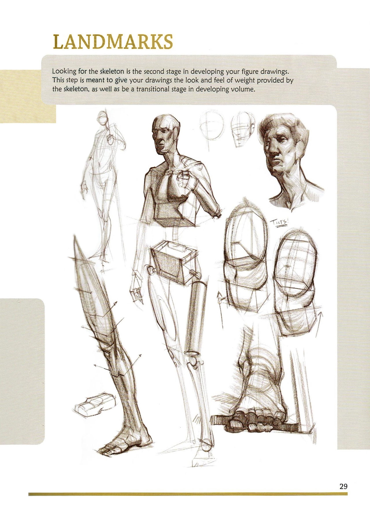 [Micheal Hampton] FIGURE DRAWING, Design and Invention (2013 Edition) 34