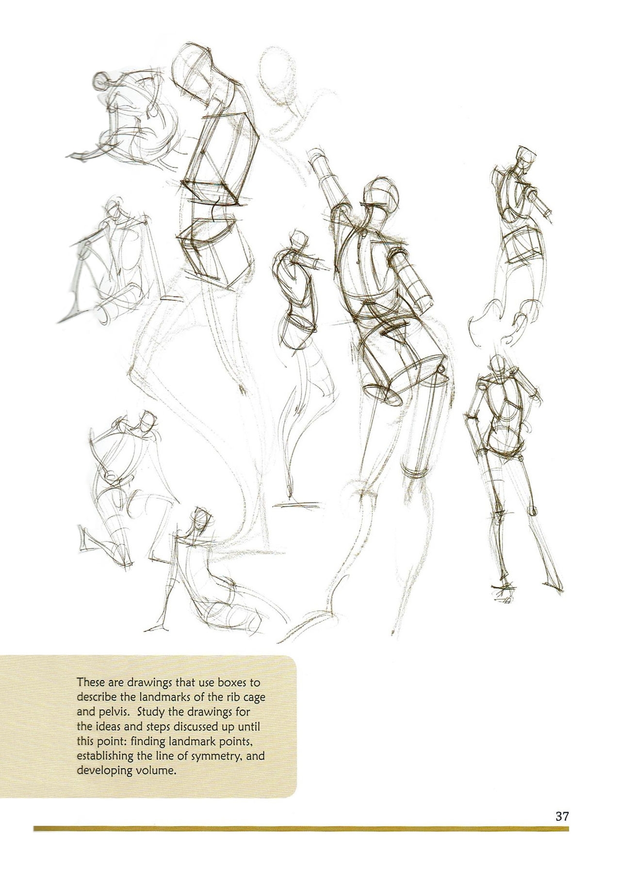 [Micheal Hampton] FIGURE DRAWING, Design and Invention (2013 Edition) 42