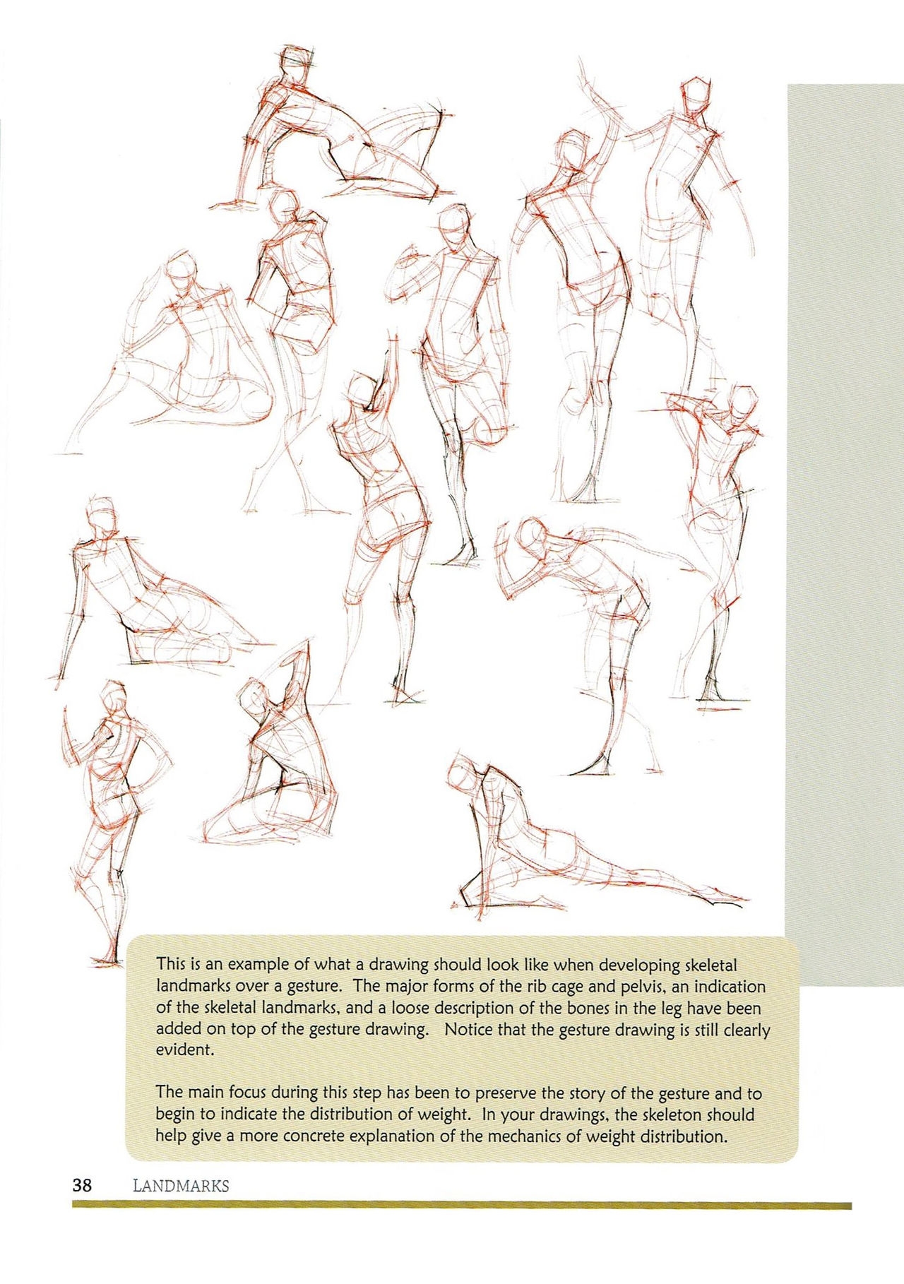[Micheal Hampton] FIGURE DRAWING, Design and Invention (2013 Edition) 43