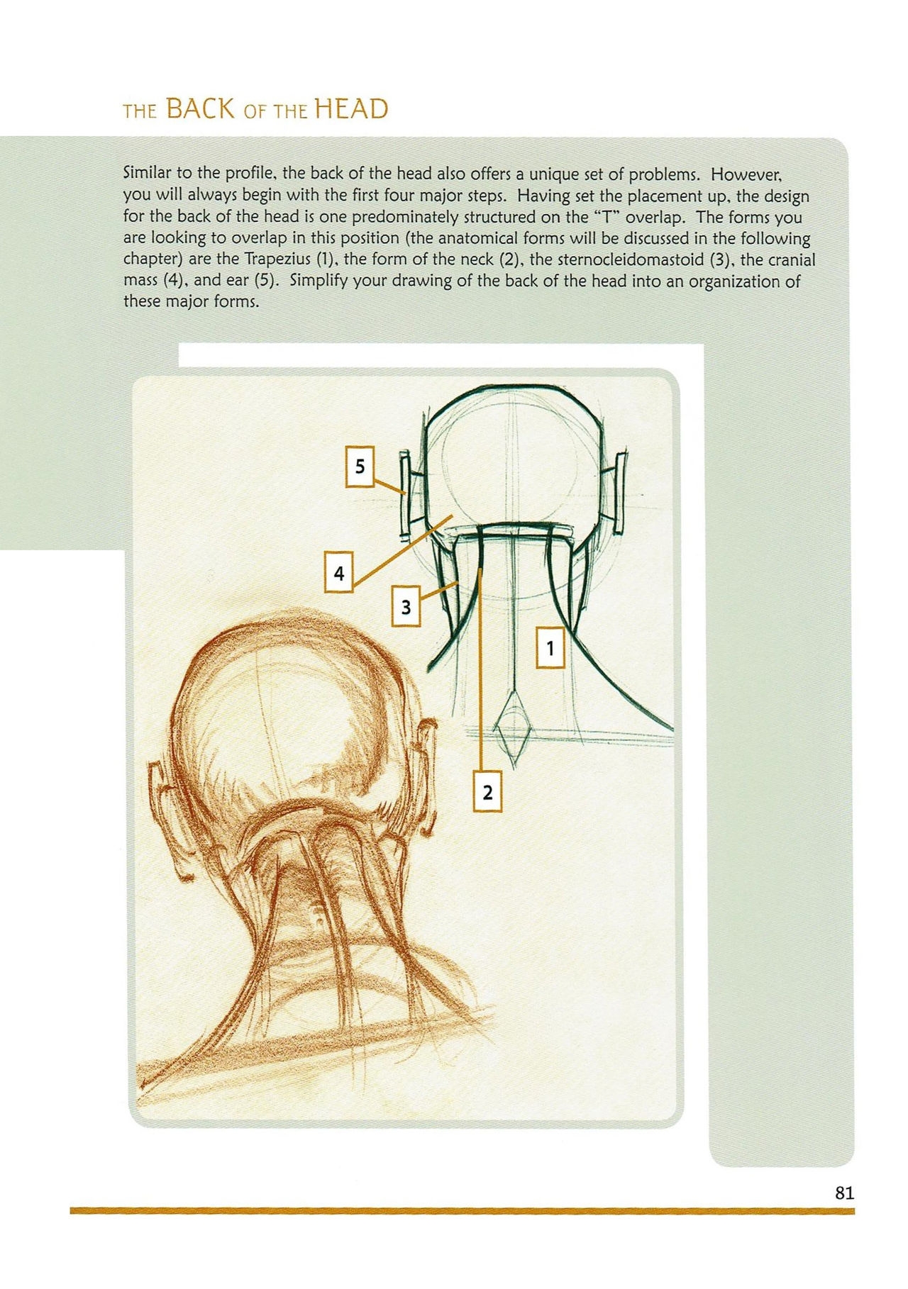 [Micheal Hampton] FIGURE DRAWING, Design and Invention (2013 Edition) 86