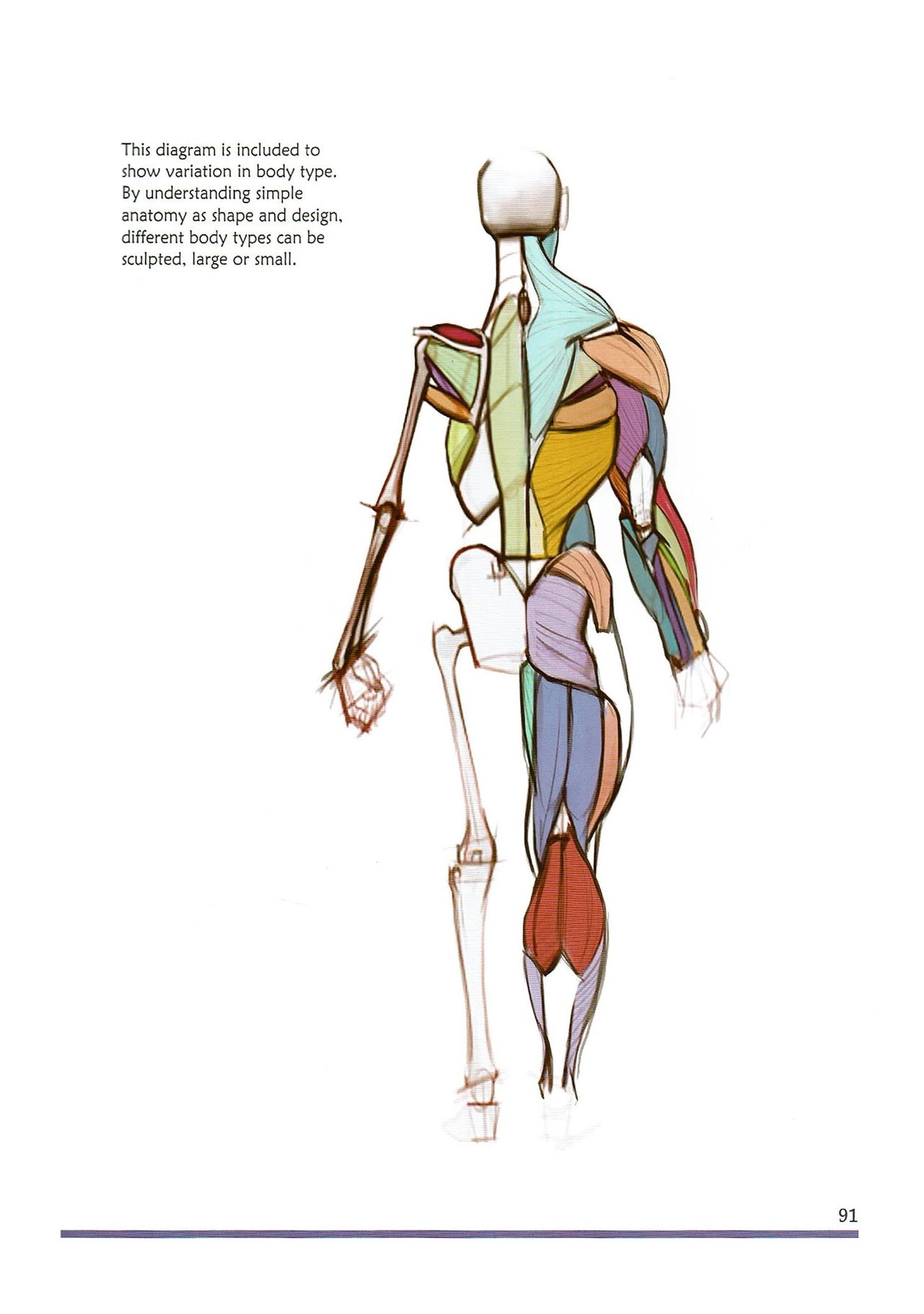 [Micheal Hampton] FIGURE DRAWING, Design and Invention (2013 Edition) 96