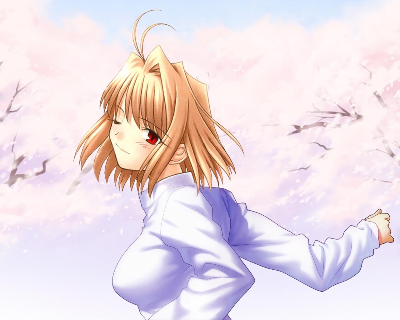 TYPE-MOON CHARACTERS BIG IMAGE SETS 2 251