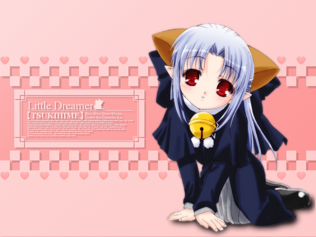 TYPE-MOON CHARACTERS BIG IMAGE SETS 2 294