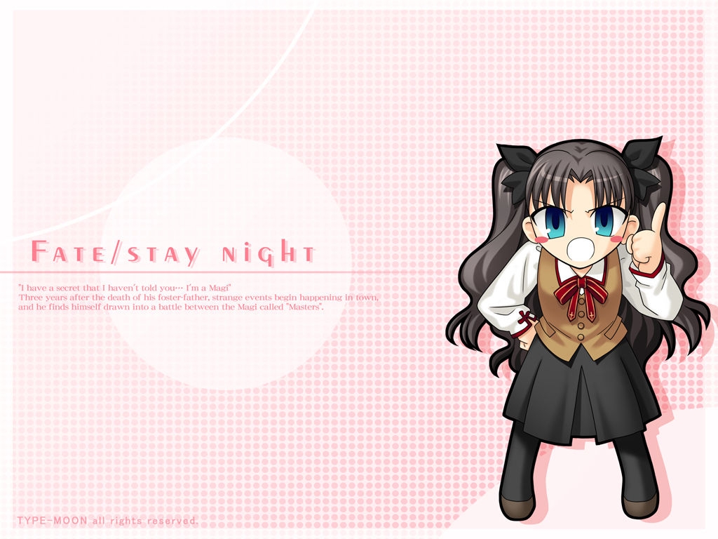 TYPE-MOON CHARACTERS BIG IMAGE SETS 2 7