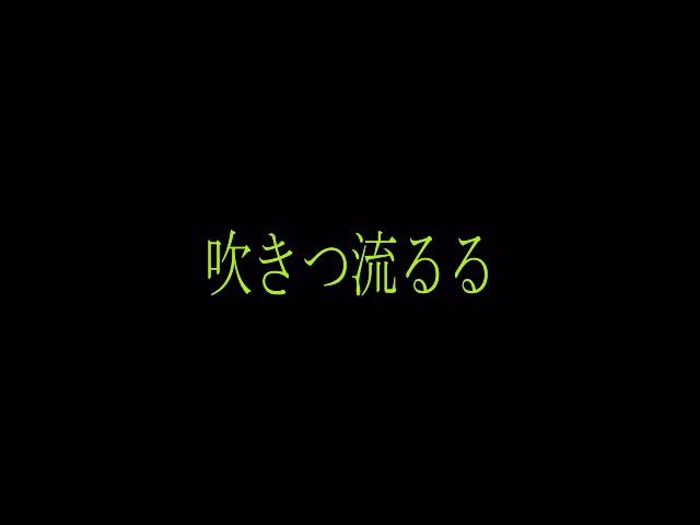 [DigiAnime Corporation] Tokumei Kachou Ijuuin Ginzaburou 161