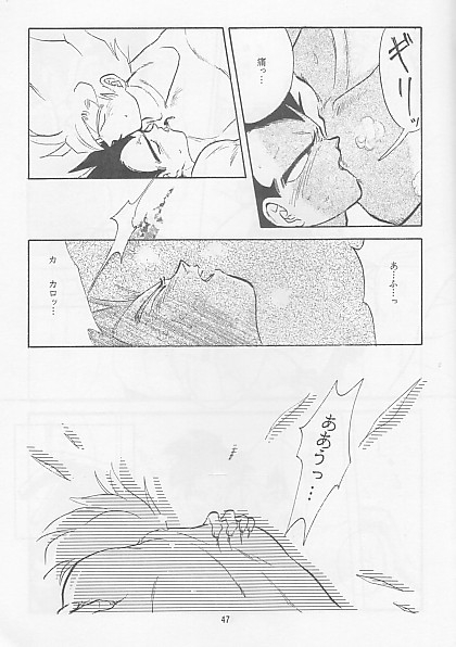 [PAOZ (Chiyu Kana)] IROIKA (Dragonball Z) 46
