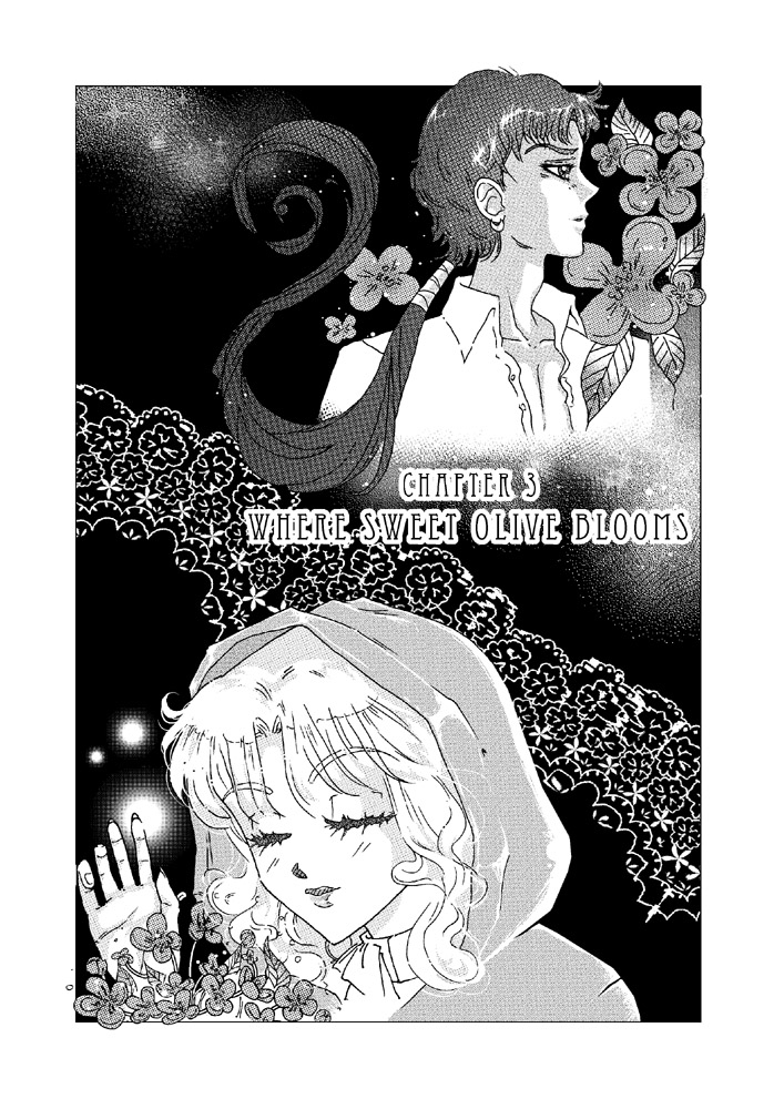 [unconventionalsenshi] Princess Ninako (Bishoujo Senshi Sailor Moon) [English] 61