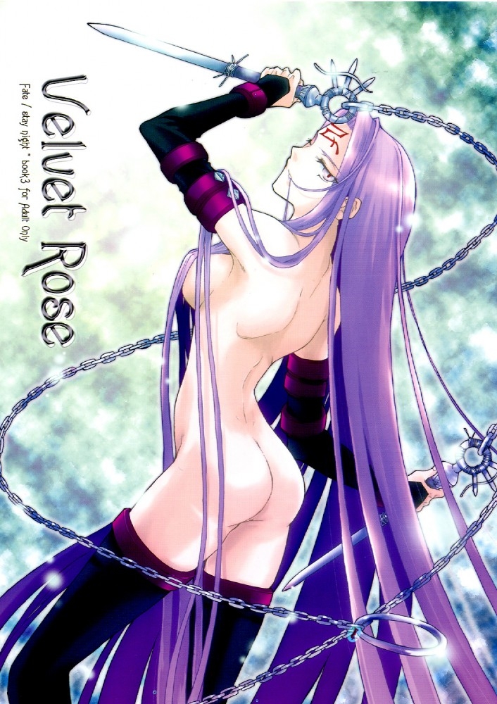 Lvhina's Rider (Fate/stay Night) Collection 167