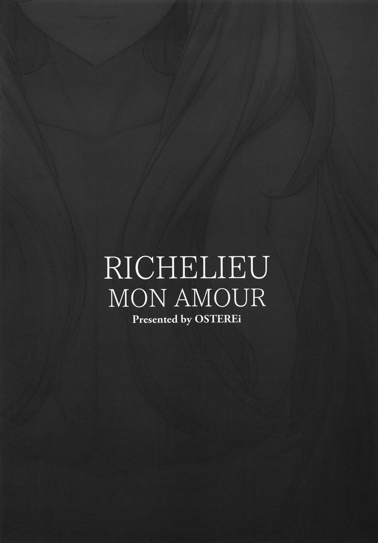 (C95) [OSTEREi] RICHELIEU MON AMOUR (Kantai Collection -KanColle-) [English] [Darg777] 24