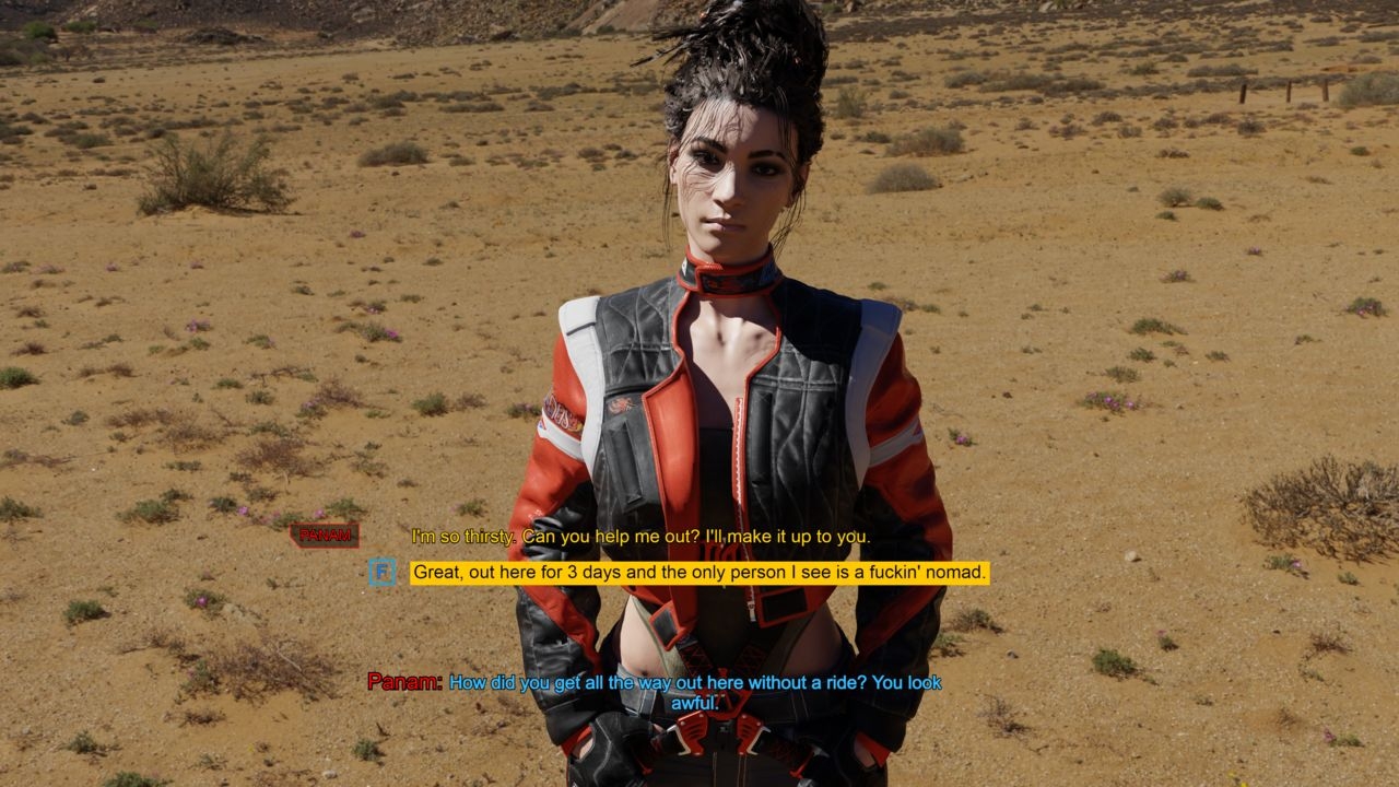 [SalamandraNinja] Panam Desert Encounter (Cyberpunk 2077) 0