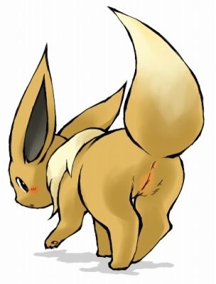 Eeveelutions gen1 (Eevee/Vaporeon/Jolteon/Flareon) 0