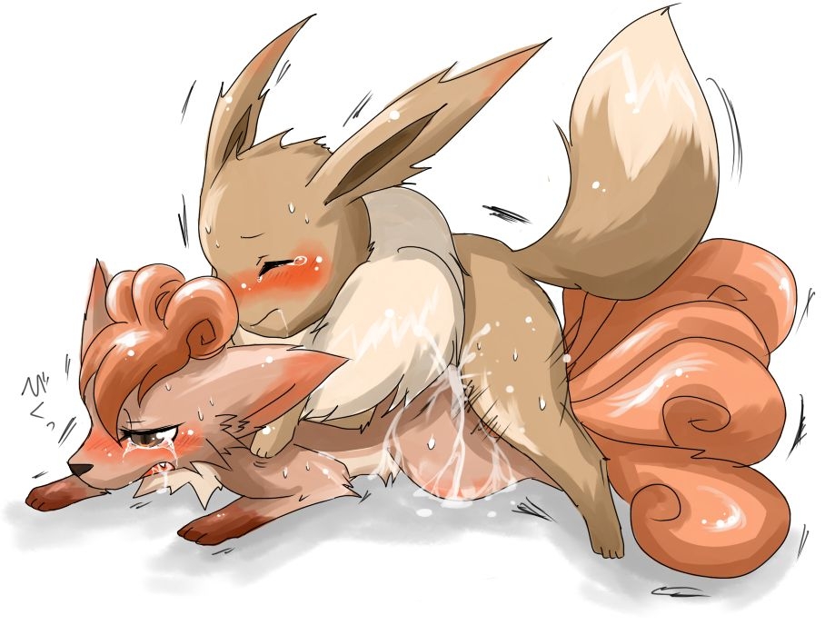 Eeveelutions gen1 (Eevee/Vaporeon/Jolteon/Flareon) 24