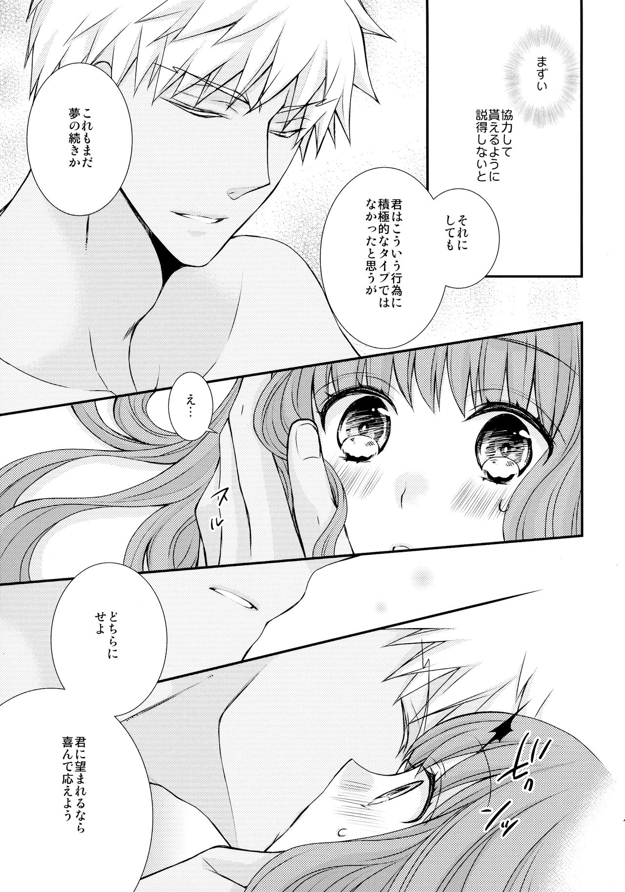 (C90) [Ahoge (Satsuki)] Itsuka no Mirai to Kako no Yume (Fate/EXTRA CCC) 12