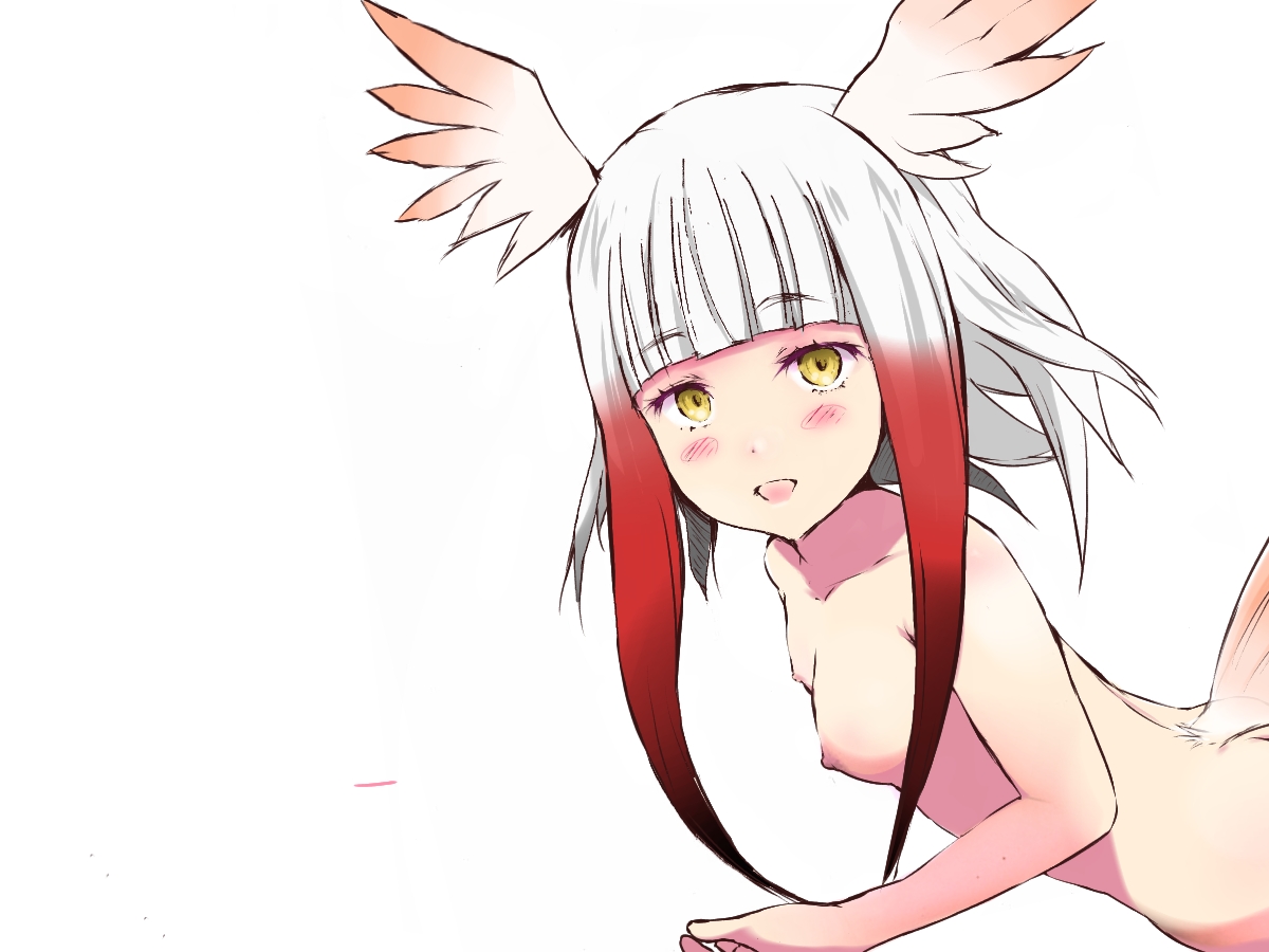 Kemono Friends - Japanese Crested Ibis (Toki) 156