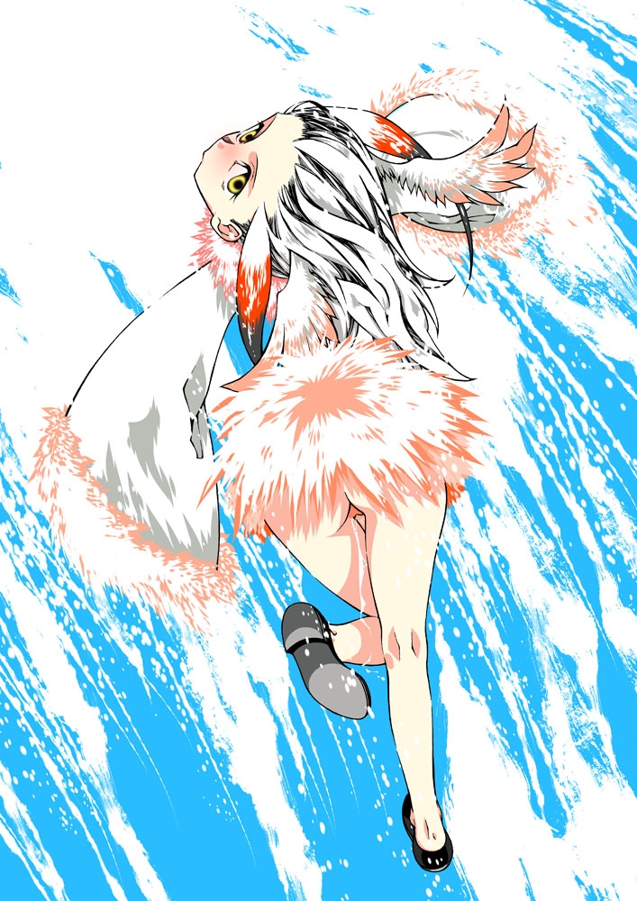 Kemono Friends - Japanese Crested Ibis (Toki) 211