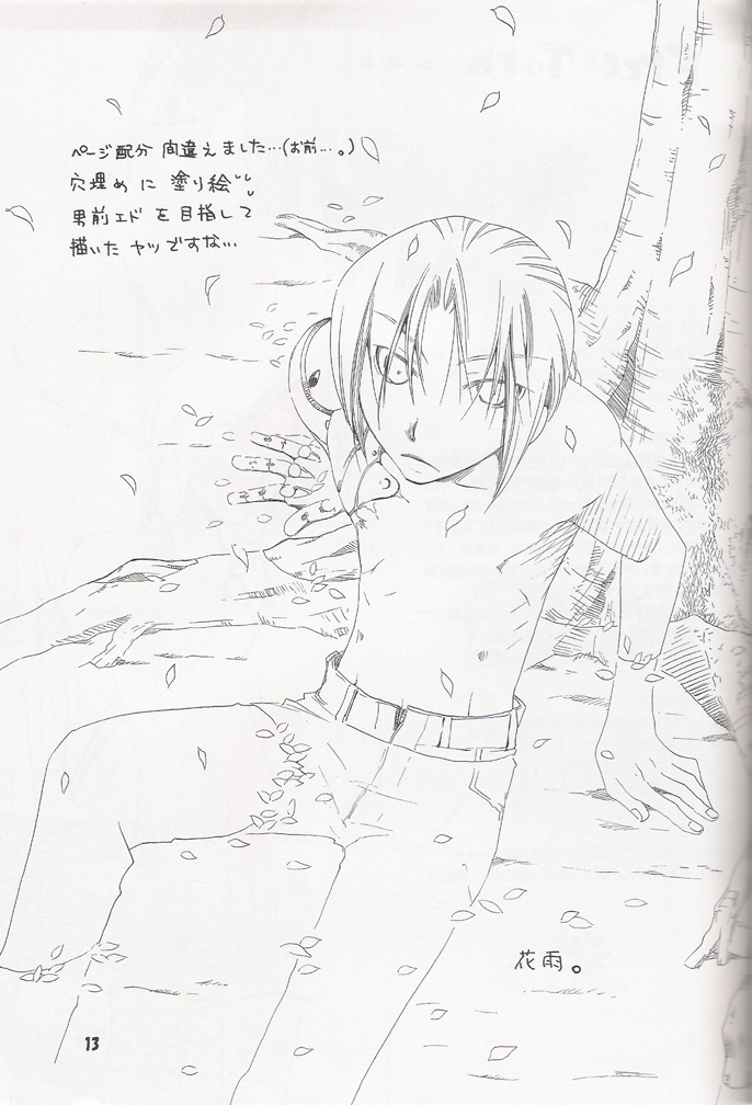 Ame Futatsu  (Fullmetal Alchemist) 11