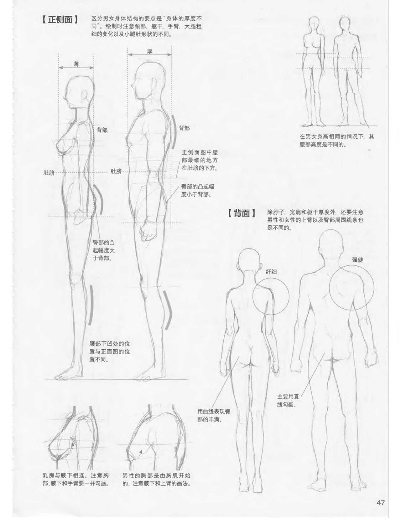 Japanese Manga Master Lecture 3: Lin Akira and Kakumaru Maru Talk About Glamorous Character Modeling 47