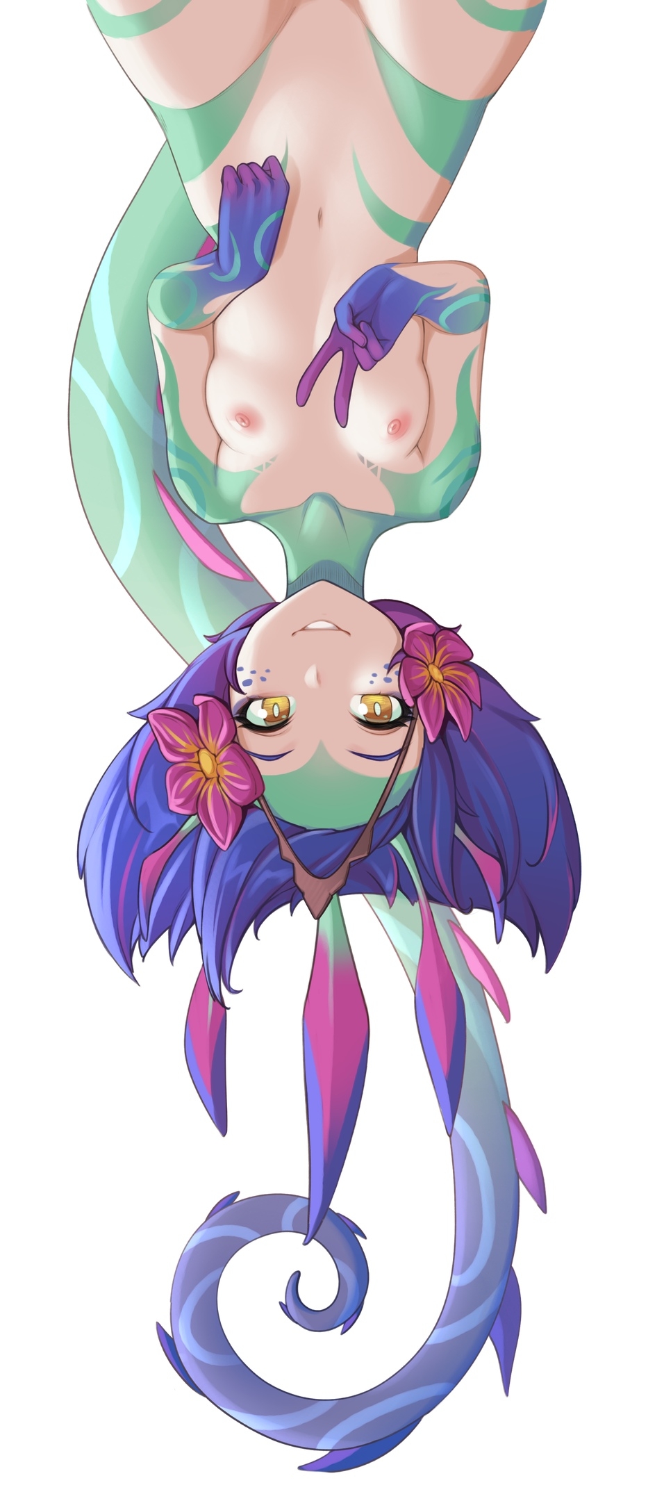 Neeko (League of Legends) Collections 65