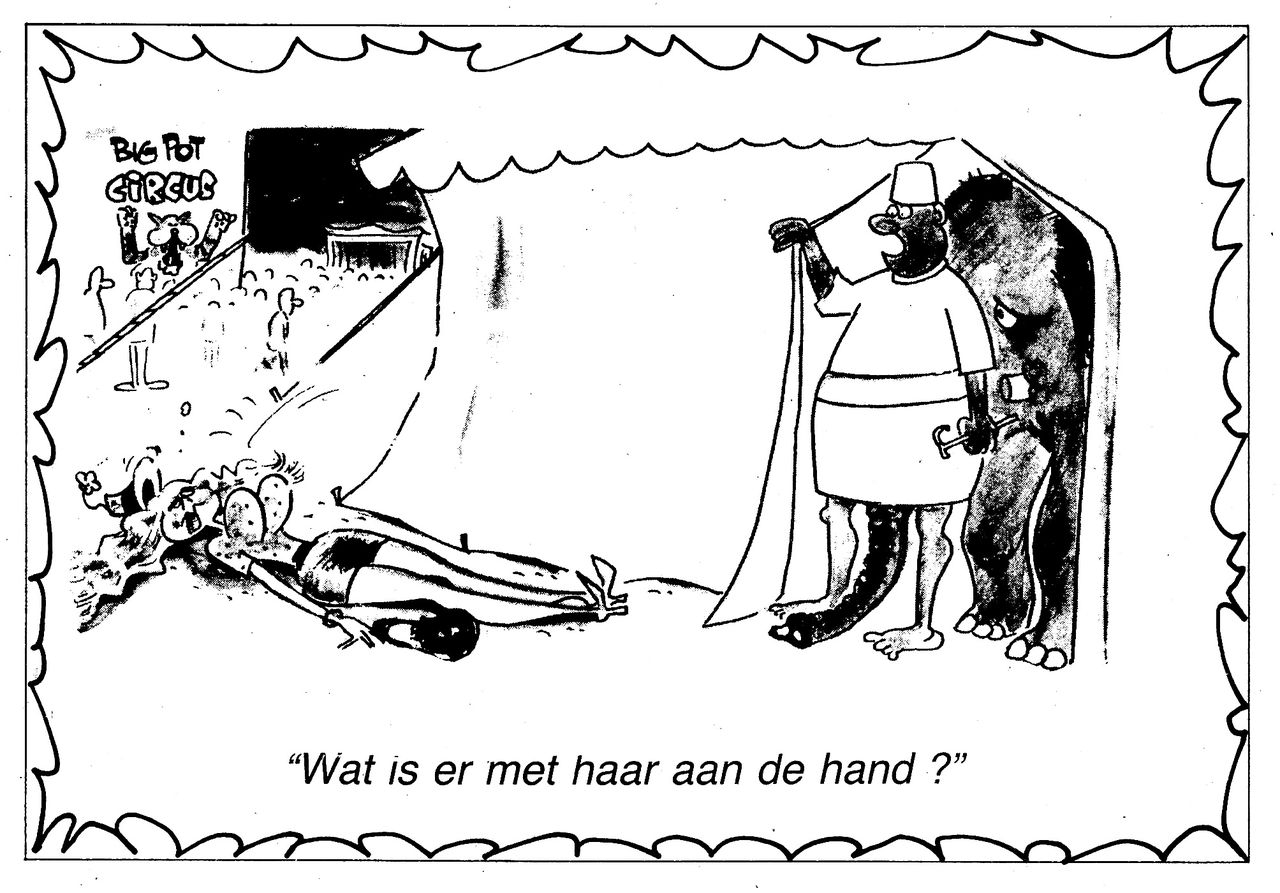 Sexy Humor 163 (Dutch) 20