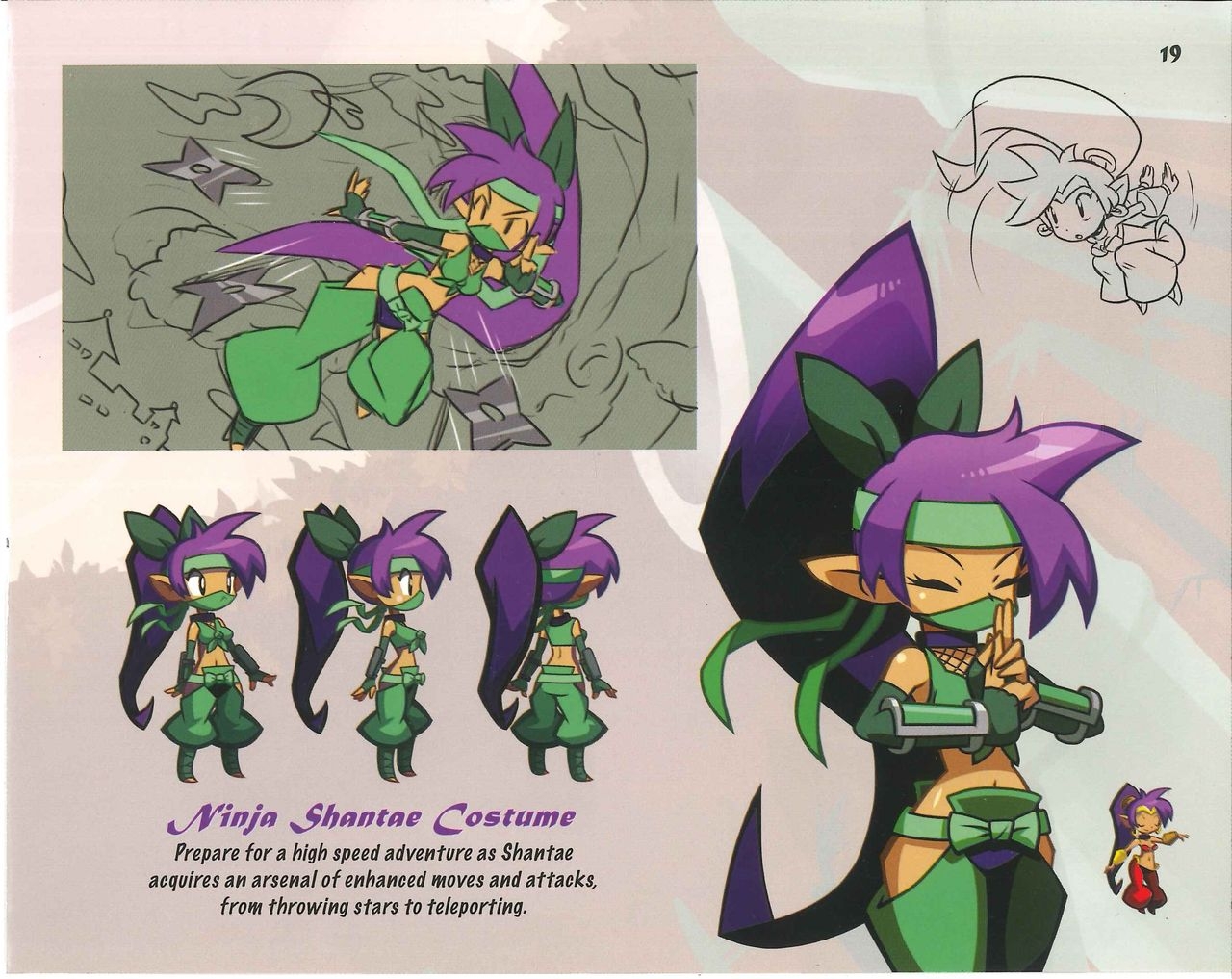 Shantae Manual + Official Art 103