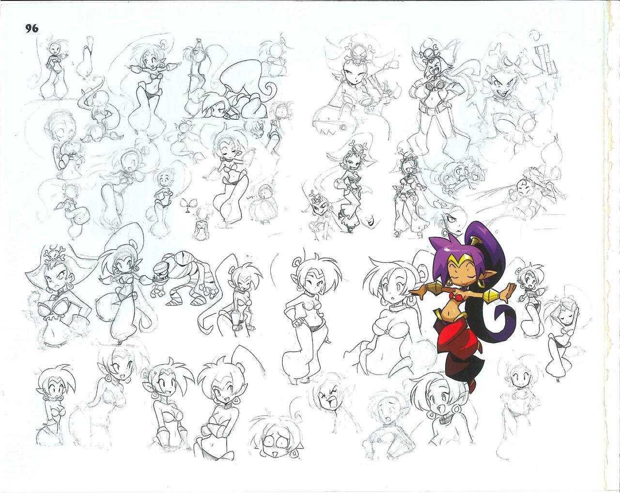 Shantae Manual + Official Art 110