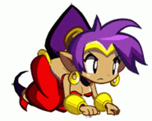 Shantae Manual + Official Art 116
