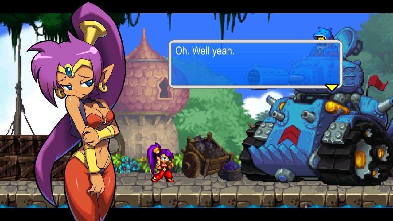 Shantae Manual + Official Art 118