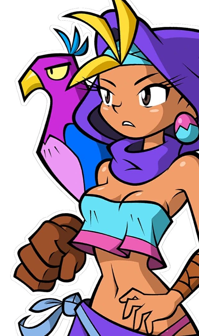 Shantae Manual + Official Art 124