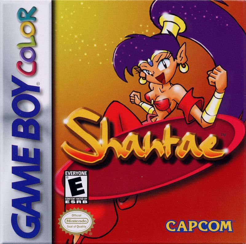 Shantae Manual + Official Art 18