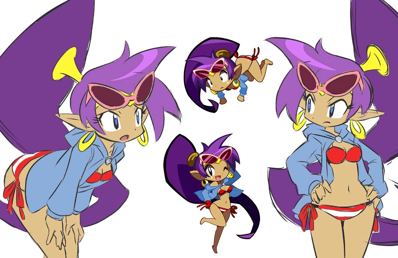 Shantae Manual + Official Art 80