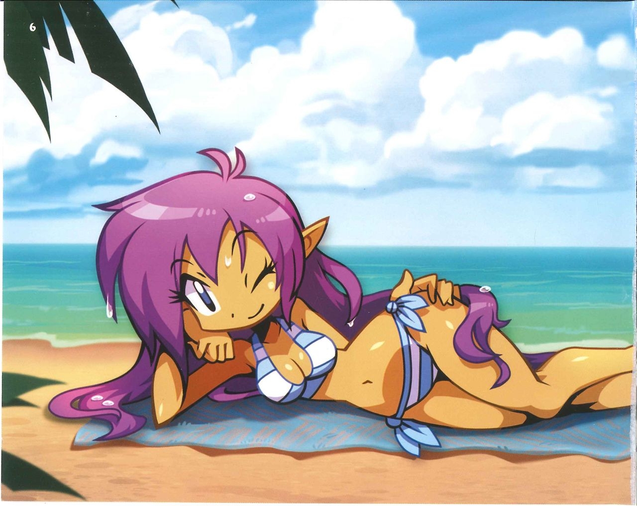Shantae Manual + Official Art 90