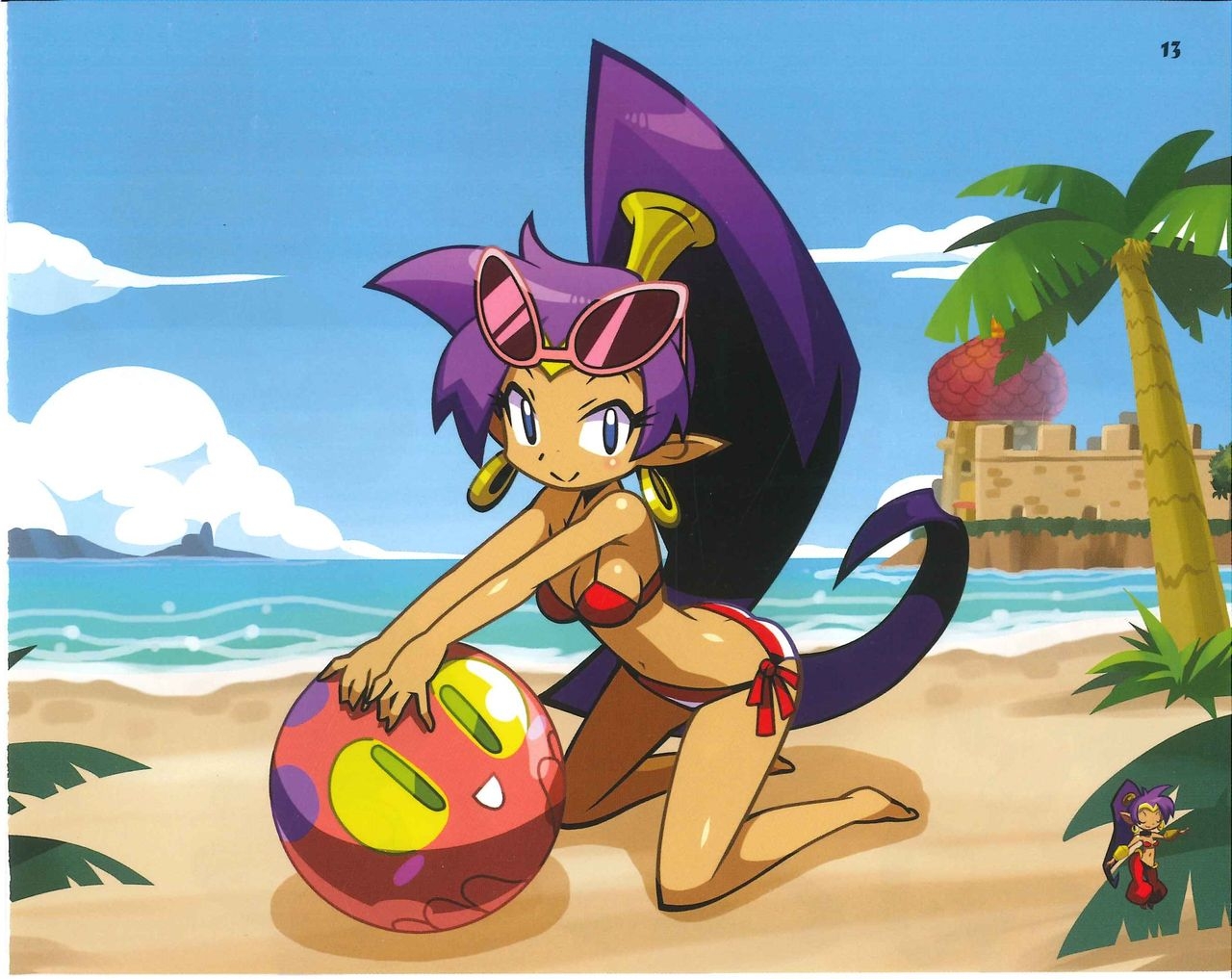Shantae Manual + Official Art 97