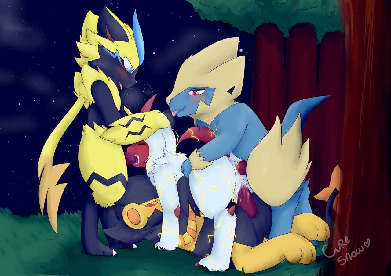 Zeraora and Beyond 51