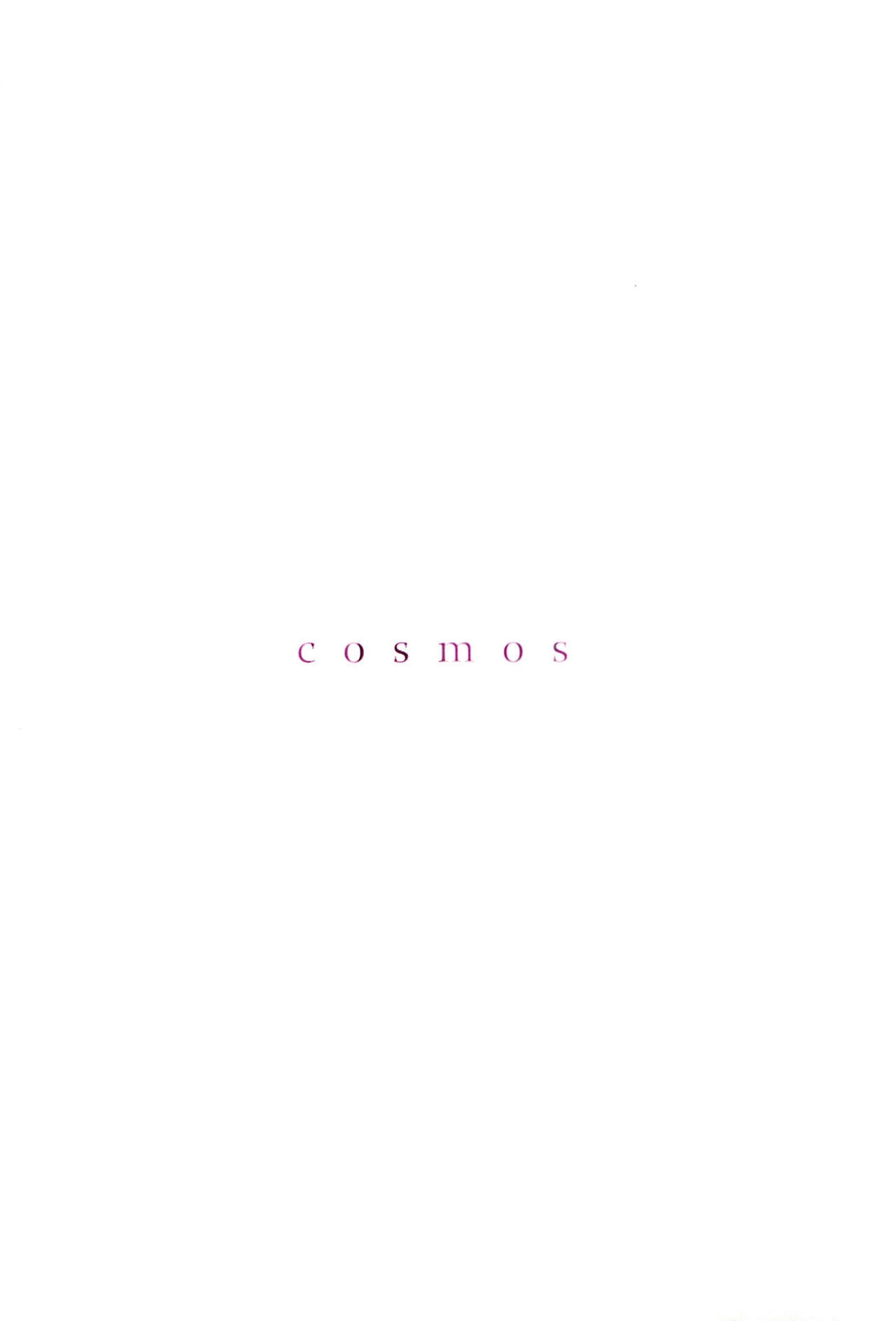 (C85) [Adashino (Akako)] cosmos (Gintama) 6