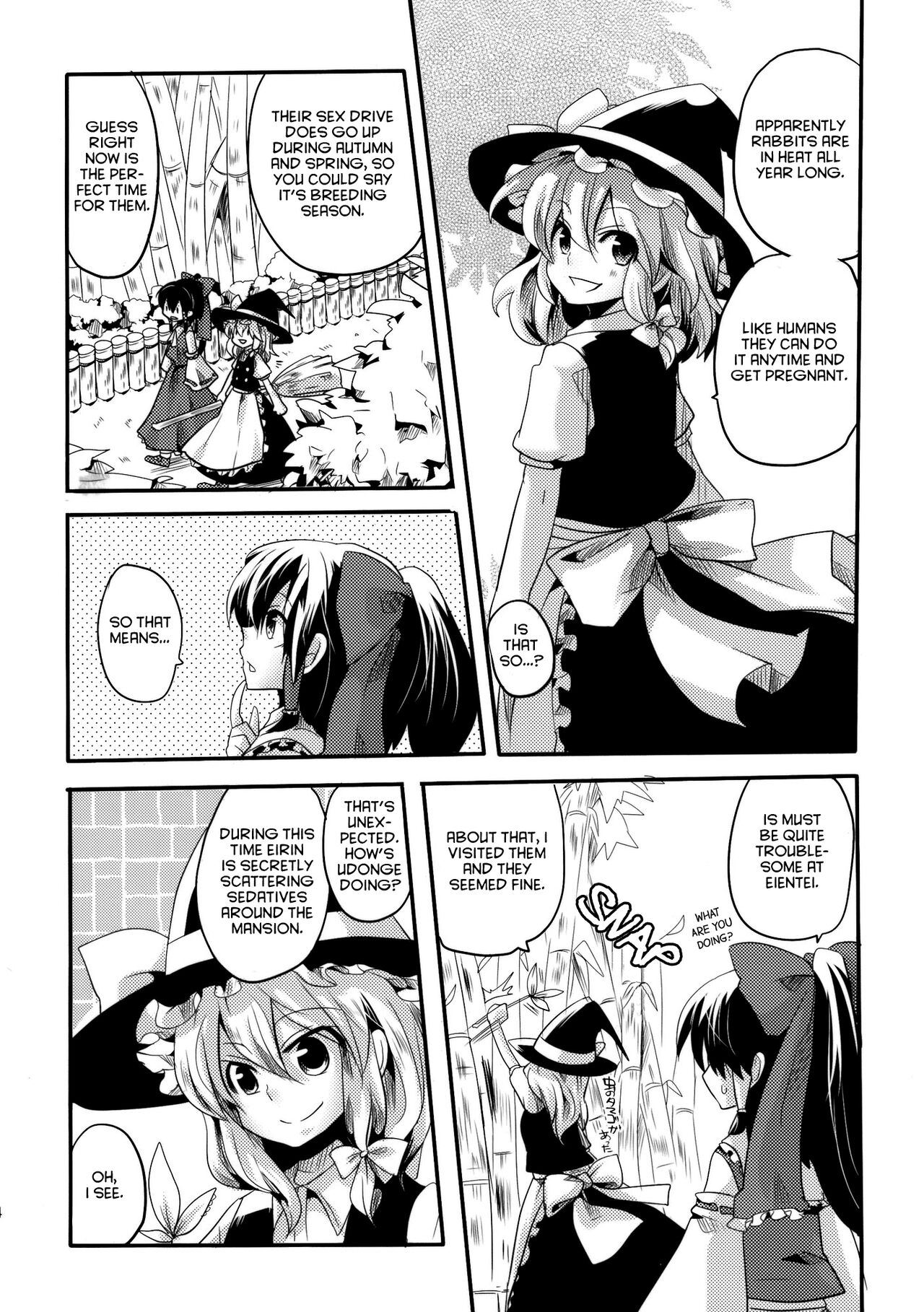 (Reitaisai SP) [DOUMOU (doumou)] Shishou ga Shikotama o Nagusami Hon (Touhou Project) [English] [hardcase8translates] 3