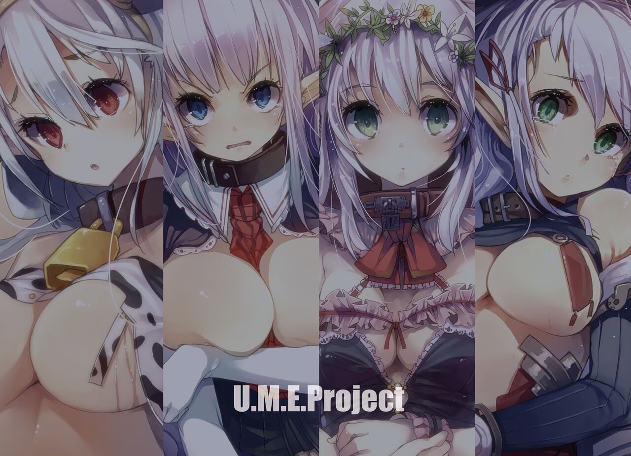 [U.M.E.Project (ukyo_rst)] ELF SLAVE CATALOG 01 [Digital] 16