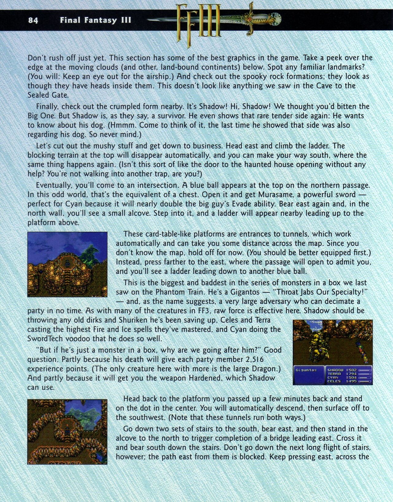 Final Fantasy III Players Guide 101