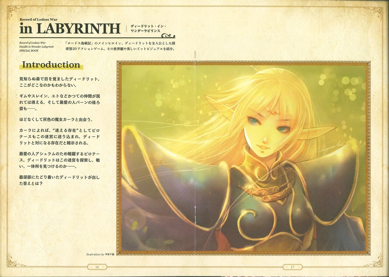 Record of Lodoss War - Deedlit in Wonder Labyrinth Special Book [Japanese] 12