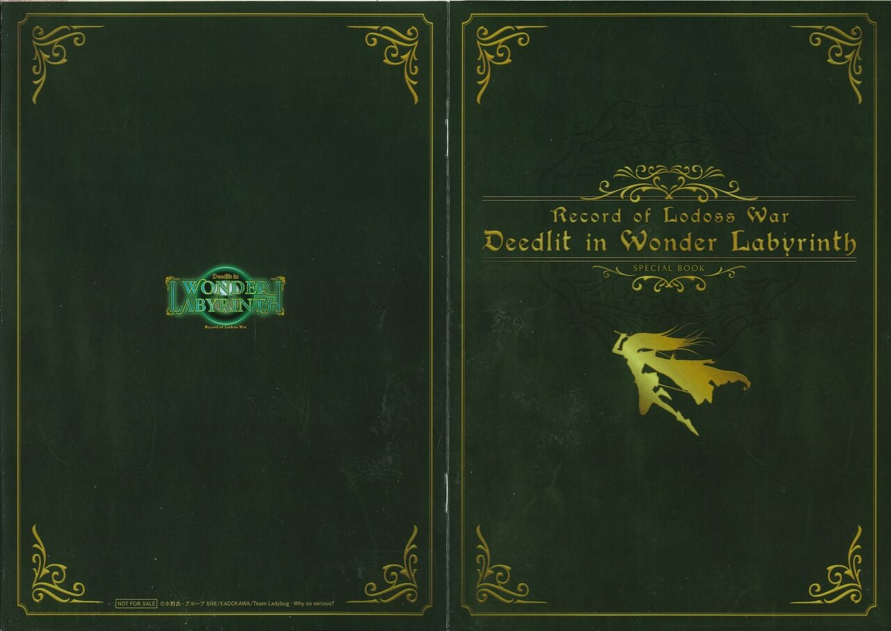 Record of Lodoss War - Deedlit in Wonder Labyrinth Special Book [Japanese] 3